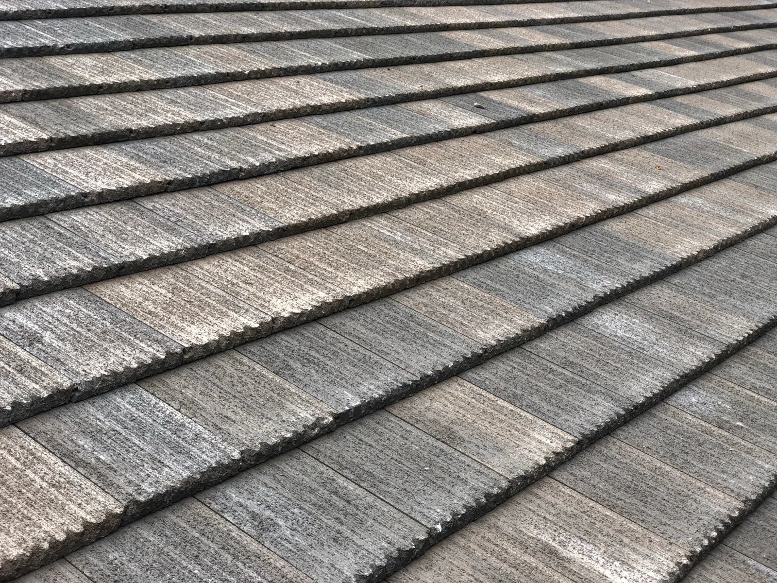 Roof photograph from Rainbow’s existing website